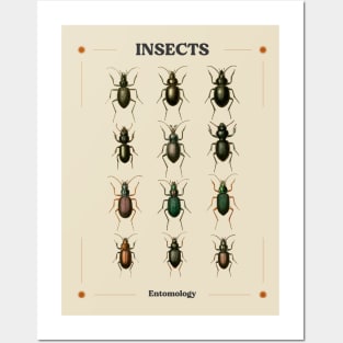 Insects II Posters and Art